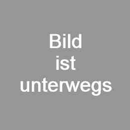 Lenz Seifenspender